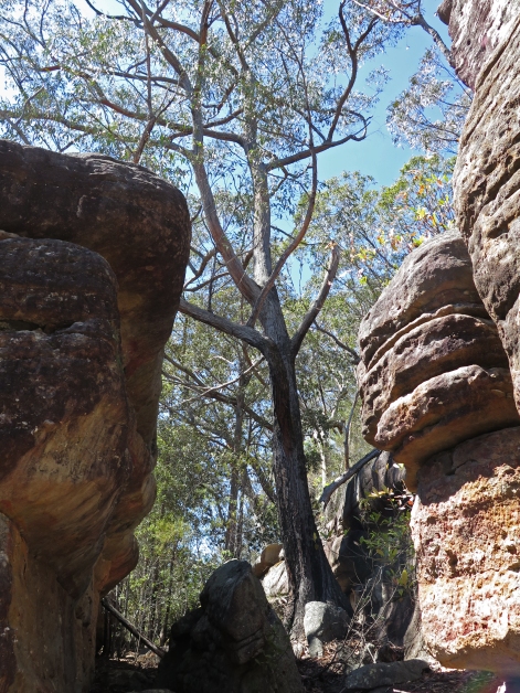 Rock corridors above Boolijong Creek, NSW
