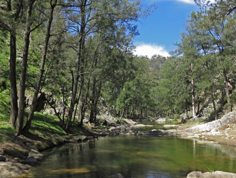 Grove Creek, Abercrombie Karst Conservation Area, NSW