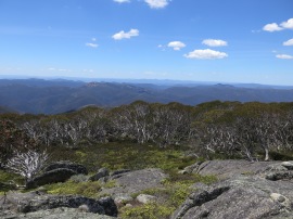 View from Mt Gingera, Namadgi National Park, ACT