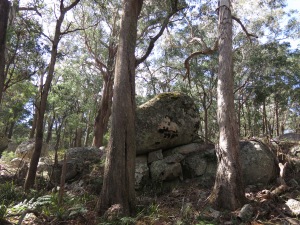 Near Mount Tumatbulla, Tallaganda National Park, NSW